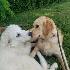 Meet your Posher, Becca